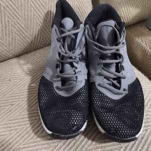 Nike Air Jordan precision 11